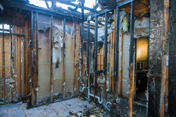Professional Fire Damage Removal technician working in Hugo, MN