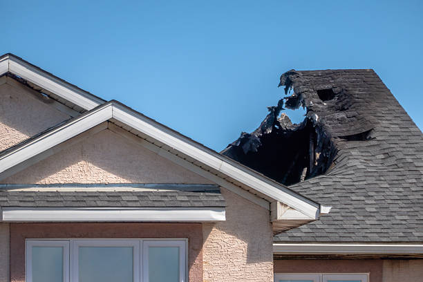 Top rated local Fire Damage Removal specialists in Hugo, MN